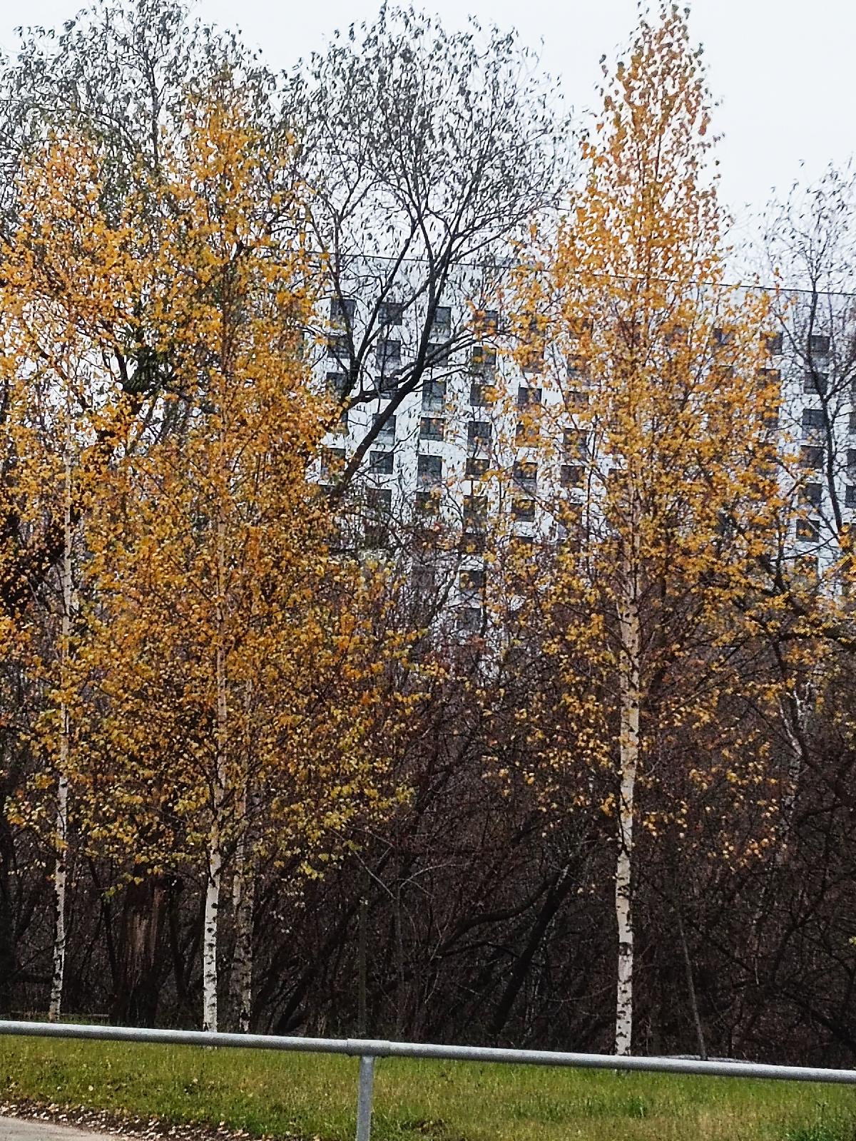1-комнатная квартира, Москва, Светланова улица 11 корпус 1 , метро Раменки, фото №