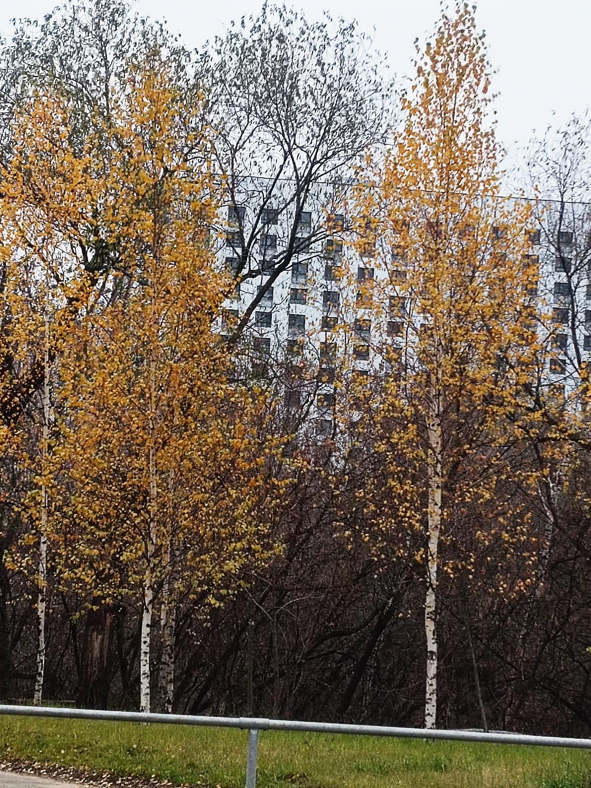 1-комнатная квартира, Москва, Светланова улица 11 корпус 1 , метро Раменки, фото №