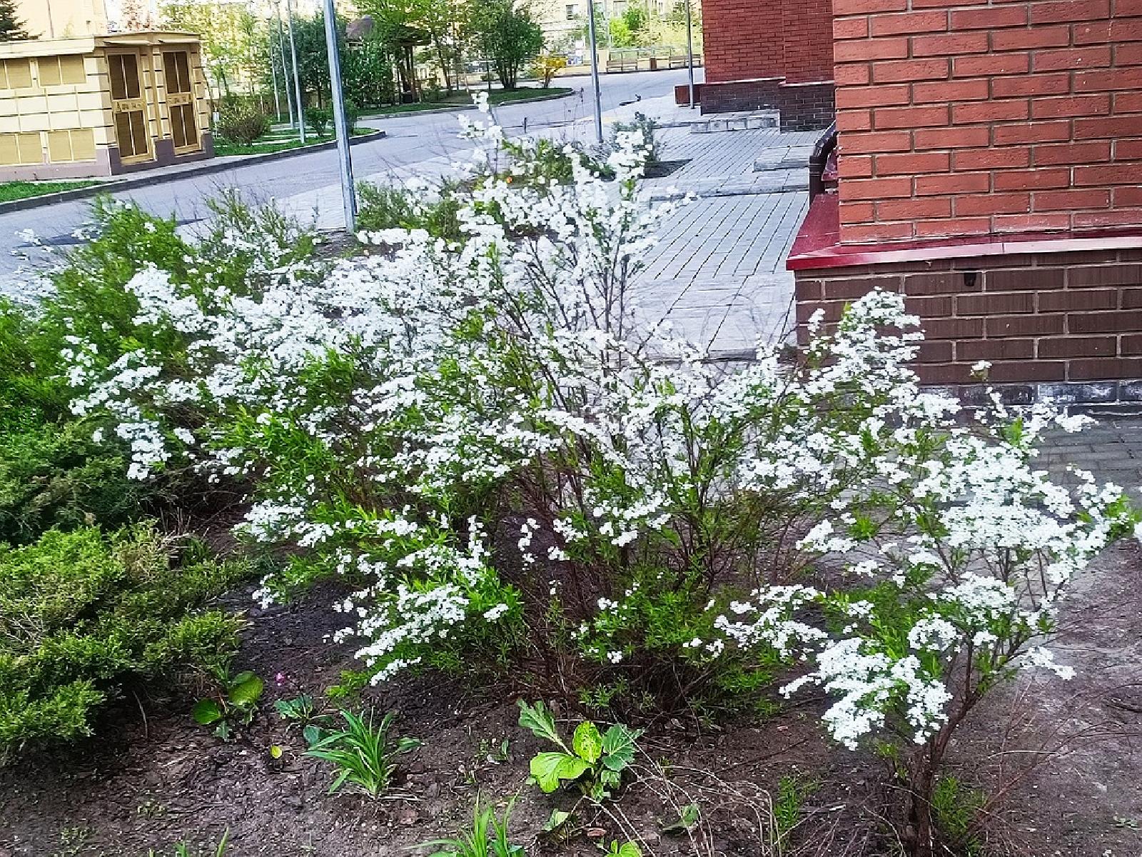 2-комнатная квартира, Москва, Мосфильмовская улица 88 корпус 4 строение 1 , метро Раменки, фото №